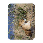 Feiglingsruhe Magnet (Vertikal)