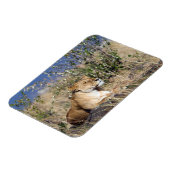 Feiglingsruhe Magnet (Linke Seite)