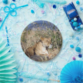 Feiglingsruhe Pappteller (Party)