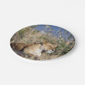 Feiglingsruhe Pappteller (Schrägansicht)