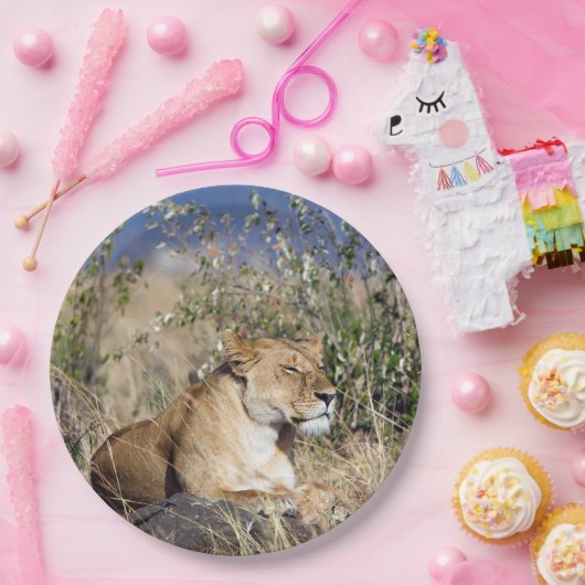 Feiglingsruhe Pappteller (Party)