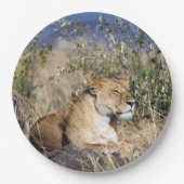 Feiglingsruhe Pappteller (Vorderseite)