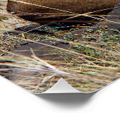 Feiglingsruhe Poster (Ecke)