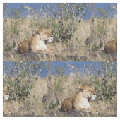 Feiglingsruhe Stoff (Nahaufnahme)