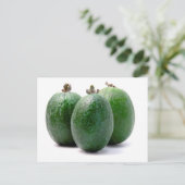 Feijoa Postkarte (Stehend Vorderseite)