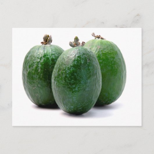 Feijoa Postkarte (Vorderseite)