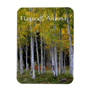 Feindseligkeit in Gold und Green Aspen's Flagstaff Magnet