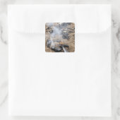 Feindwaffen werden cool quadratischer aufkleber (Tasche)