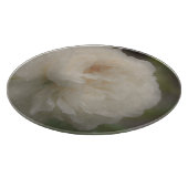 Feine, blasse Rose in blühender Blume Schneidebrett (Ecke)