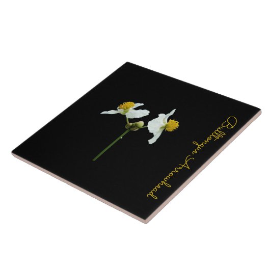 Feine Blüte auf schwarzen Keramiken Fliese (Seite)