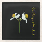 Feine Blüte auf schwarzen Keramiken Glasuntersetzer (Vorderseite)