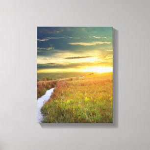 Feine Kunst-Leinwand-Druck - Konza Grasland Leinwanddruck