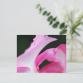 Feine rosa Blume Petals Kunstwerk Postkarte (Stehend Vorderseite)