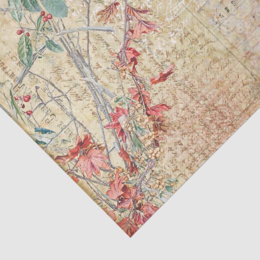 Feine rosa Blume und Rose Seidenpapier (Ausschnitt)