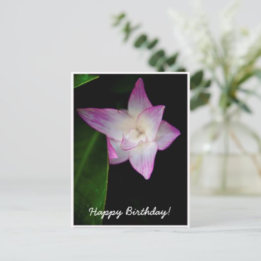 Feine rosa Blume zum Geburtstag Postkarte (Stehend Vorderseite)