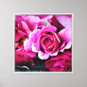 Feine rosa Rose Canvas Print Leinwanddruck