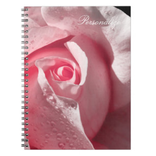 Feine Rosa Rose mit Taube Notizblock