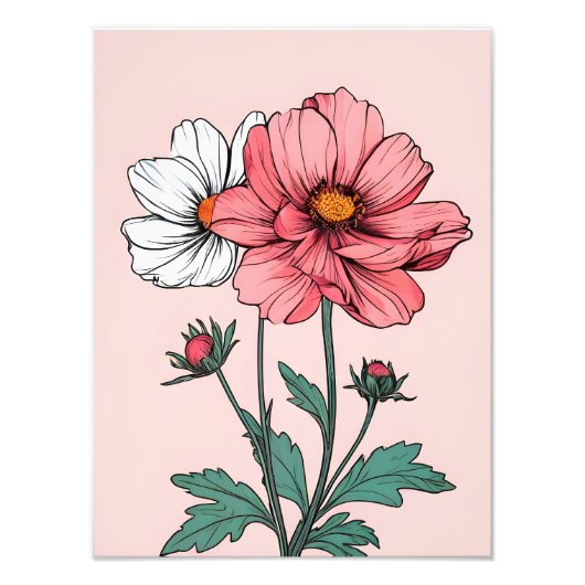 Feine rosa und weiße Blume Fotodruck (Vorne)