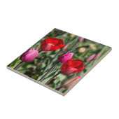 Feine rote und lila Tulpen Fliese (Seite)