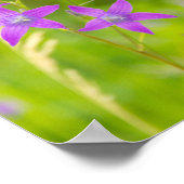 Feine violette Blumen auf dem Feld Poster (Ecke)