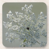 Feine weiße Blume Getränkeuntersetzer (Vorderseite)