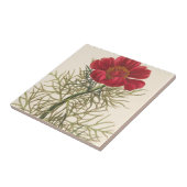 Feiner Leaved Paeony Fliese (Seite)