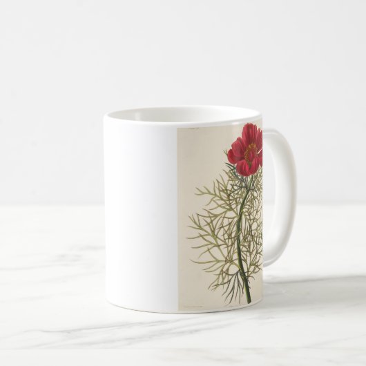 Feiner Leaved Paeony Kaffeetasse (VorderseiteRechts)