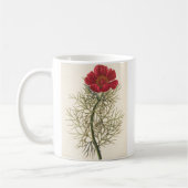Feiner Leaved Paeony Kaffeetasse (Links)