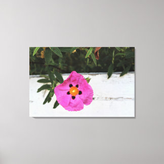 Feingezäunt in Blumenkanvas Print Leinwanddruck