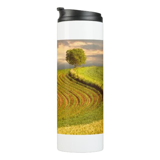 Feld 11 thermosbecher (Nach rechts gedreht)