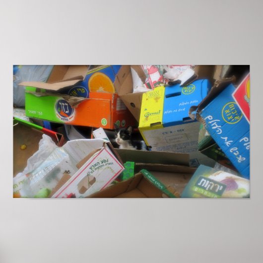 Feld 2 poster (Vorne)