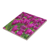 Feld aus violetten Tulpen Fliese (Seite)