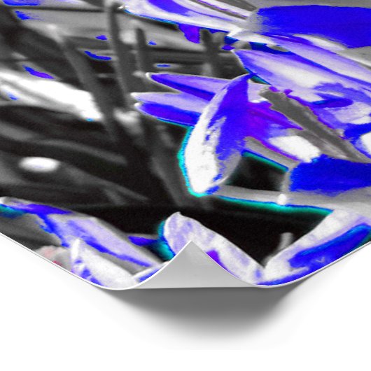 Feld "Blaue Blume" Poster (Ecke)