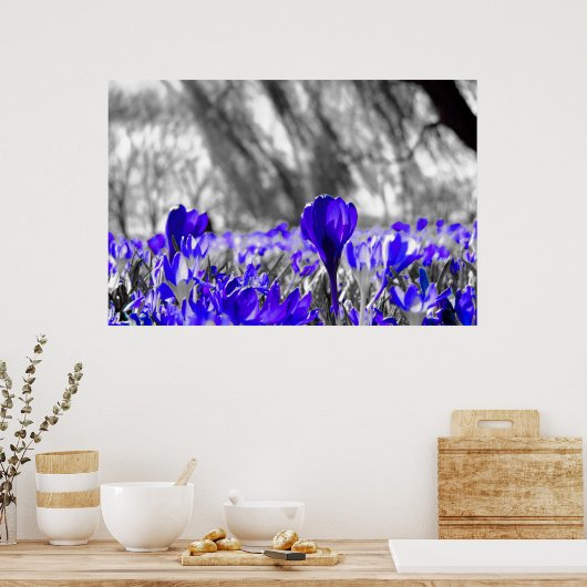 Feld "Blaue Blume" Poster (Küche)