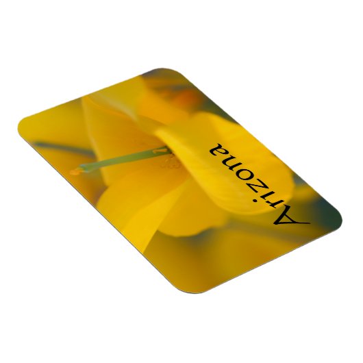 Feld blühender Mohnchen, Arizona Magnet (Rechte Seite)