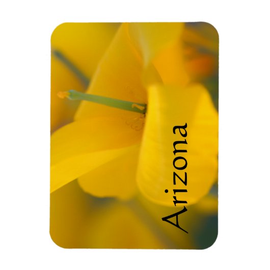 Feld blühender Mohnchen, Arizona Magnet (Vertikal)