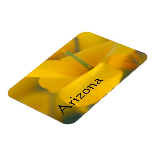 Feld blühender Mohnchen, Arizona Magnet (Linke Seite)