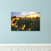 Feld blühender Sonnenblumen Leinwanddruck (Insitu (Holzboden))