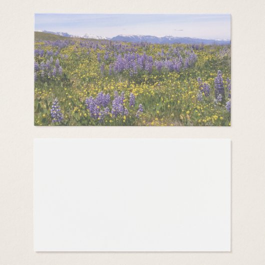 Feld "Blume" (Vorne & Hinten)