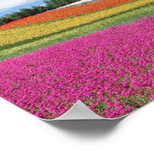 Feld Blume Poster (Ecke)