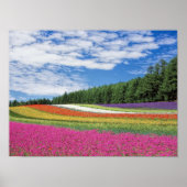 Feld Blume Poster (Vorne)