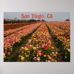Feld Blume Poster Anpassbar