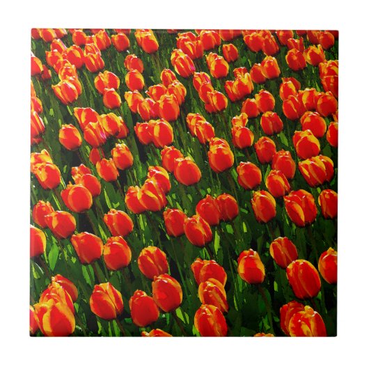 Feld Bright Orange Tulips - Wasserfarbene Kunst Fliese (Vorderseite)
