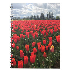 Feld der Ballerina-Tulpen, Oregon Notizblock