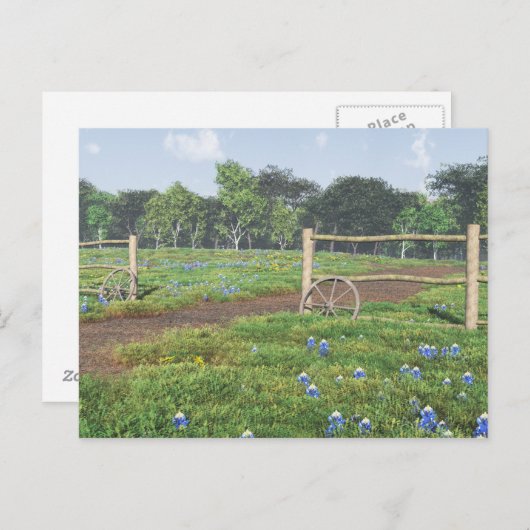 Feld der Bluebonnets Postkarte (Vorne/Hinten)