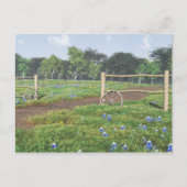 Feld der Bluebonnets Postkarte (Vorderseite)