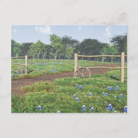 Feld der Bluebonnets Postkarte (Vorderseite)