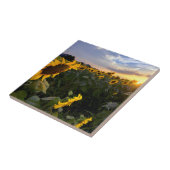 Feld der blühenden Sonnenblumen Fliese (Seite)
