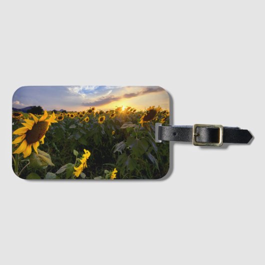 Feld der blühenden Sonnenblumen Gepäckanhänger (Vorderseite (Horizontal))