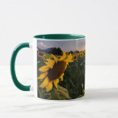 Feld der blühenden Sonnenblumen Tasse (Links)